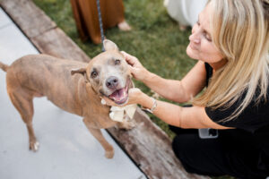 wedding planner with dog 